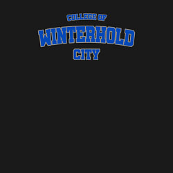 Свитшот хлопковый мужской Коллегия Винтерхолда - Skyrim, цвет: черный — фото 2