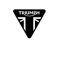 Свитшот хлопковый мужской Triumph Мото Лого Z, цвет: белый — фото 2