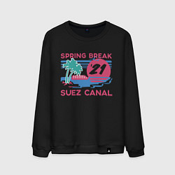 Свитшот хлопковый мужской Spring Break, цвет: черный