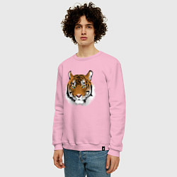Свитшот хлопковый мужской Тигр, цвет: светло-розовый — фото 2