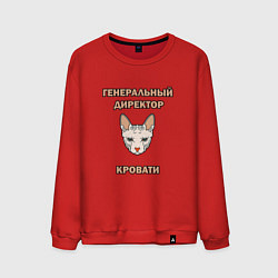Свитшот хлопковый мужской Генеральный директор кровати, цвет: красный