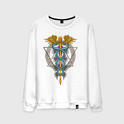 Мужской свитшот Кадуцей