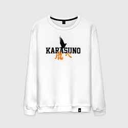 Мужской свитшот KARASUNO КАРАСУНО