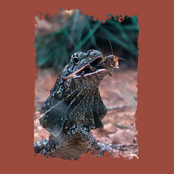 Свитшот хлопковый мужской Дракон ест кузнечика, цвет: кирпичный — фото 2