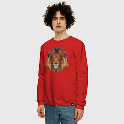 Свитшот хлопковый мужской Father Lion, цвет: красный — фото 2
