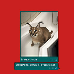 Свитшот хлопковый мужской Шлёпа, цвет: красный — фото 2