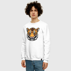 Свитшот хлопковый мужской Стиль Тигра, цвет: белый — фото 2