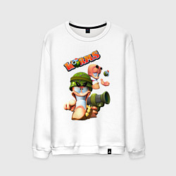 Мужской свитшот Worms3D