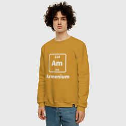 Свитшот хлопковый мужской Армениум, цвет: горчичный — фото 2