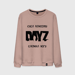 Свитшот хлопковый мужской DayZ: Съел консерву, цвет: пыльно-розовый