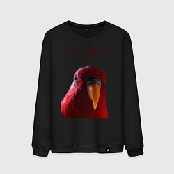Свитшот хлопковый мужской Красный попугай, цвет: черный