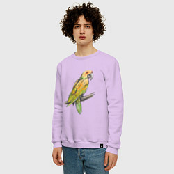 Свитшот хлопковый мужской Любимый попугай, цвет: лаванда — фото 2