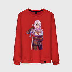 Свитшот хлопковый мужской Циpи, цвет: красный
