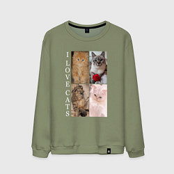 Мужской свитшот I LOVE CATS Я ЛЮБЛЮ КОШЕК