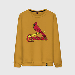 Свитшот хлопковый мужской St Louis Cardinals - baseball team, цвет: горчичный