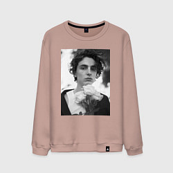 Свитшот хлопковый мужской Timothee Chalamet с розами, цвет: пыльно-розовый