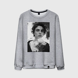 Свитшот хлопковый мужской Timothee Chalamet с розами, цвет: меланж