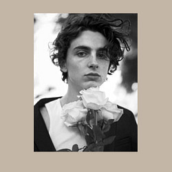 Свитшот хлопковый мужской Timothee Chalamet с розами, цвет: миндальный — фото 2