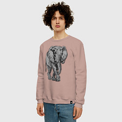 Свитшот хлопковый мужской Огромный могучий слон, цвет: пыльно-розовый — фото 2
