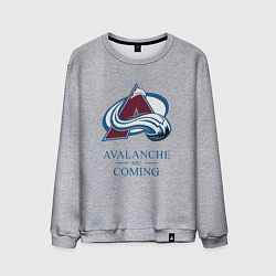 Мужской свитшот Colorado Avalanche are coming , Колорадо Эвеланш
