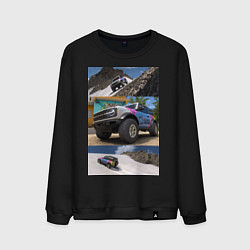 Свитшот хлопковый мужской FORZA HORIZON 5 BRONCO, цвет: черный