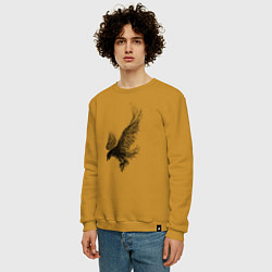 Свитшот хлопковый мужской Пикирующий орёл Пуантель, цвет: горчичный — фото 2