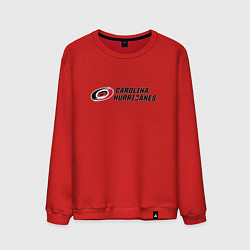 Мужской свитшот Carolina Hurricanes Каролина Харрикейнз