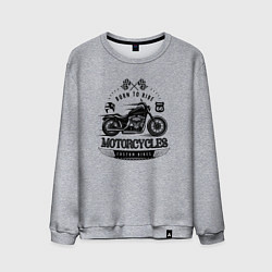 Мужской свитшот Motorcycle Born to ride