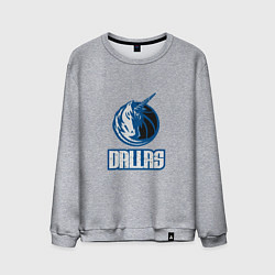 Мужской свитшот Dallas - Mavericks