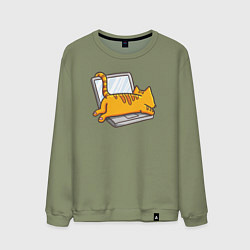 Свитшот хлопковый мужской Котик лежит на ноутбуке, цвет: авокадо