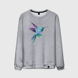 Свитшот хлопковый мужской Красивая колибри, цвет: меланж