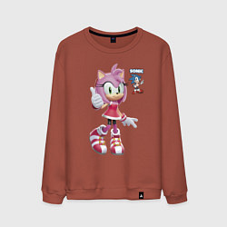 Свитшот хлопковый мужской Sonic Amy Rose Video game, цвет: кирпичный