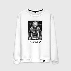 Мужской свитшот Серьёзный Торфинн