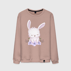Свитшот хлопковый мужской Милый Крольчонок С Цветочками, цвет: пыльно-розовый