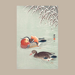 Свитшот хлопковый мужской Mandarin Ducks, цвет: миндальный — фото 2