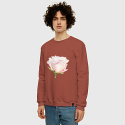 Свитшот хлопковый мужской Акварельная роза, цвет: кирпичный — фото 2