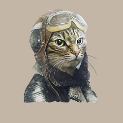 Свитшот хлопковый мужской Кот - пилот The pilot Cat, цвет: миндальный — фото 2