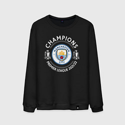 Свитшот хлопковый мужской Manchester City Champions 2122, цвет: черный