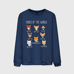 Свитшот хлопковый мужской Лисы Мира, цвет: тёмно-синий