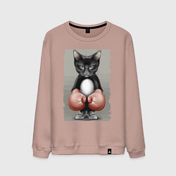 Мужской свитшот Крутой котяра в боксёрских перчатках Cool cat in b