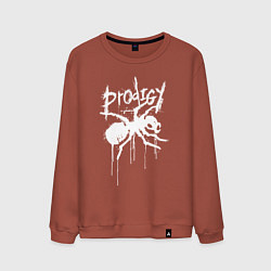 Свитшот хлопковый мужской Draw white logo - Ant, цвет: кирпичный
