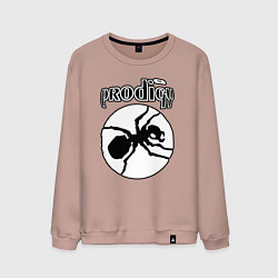 Свитшот хлопковый мужской The prodigy ant, цвет: пыльно-розовый
