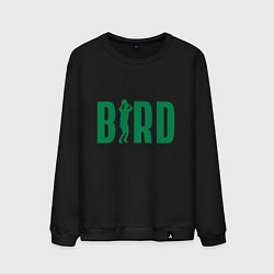 Мужской свитшот Bird -Boston