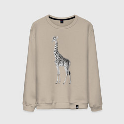 Свитшот хлопковый мужской Грация жирафа, цвет: миндальный