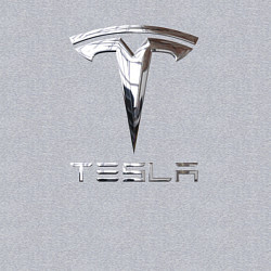 Свитшот хлопковый мужской Tesla Logo Тесла Логотип, цвет: меланж — фото 2