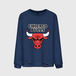 Мужской свитшот Chicago Bulls