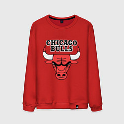 Мужской свитшот Chicago Bulls