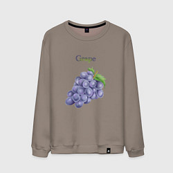 Свитшот хлопковый мужской Grape виноград, цвет: утренний латте