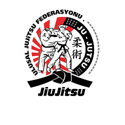 Свитшот хлопковый мужской Джиу-джитсу Jiujitsu emblem, цвет: белый — фото 2