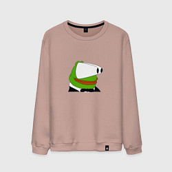 Мужской свитшот Booba Pepe